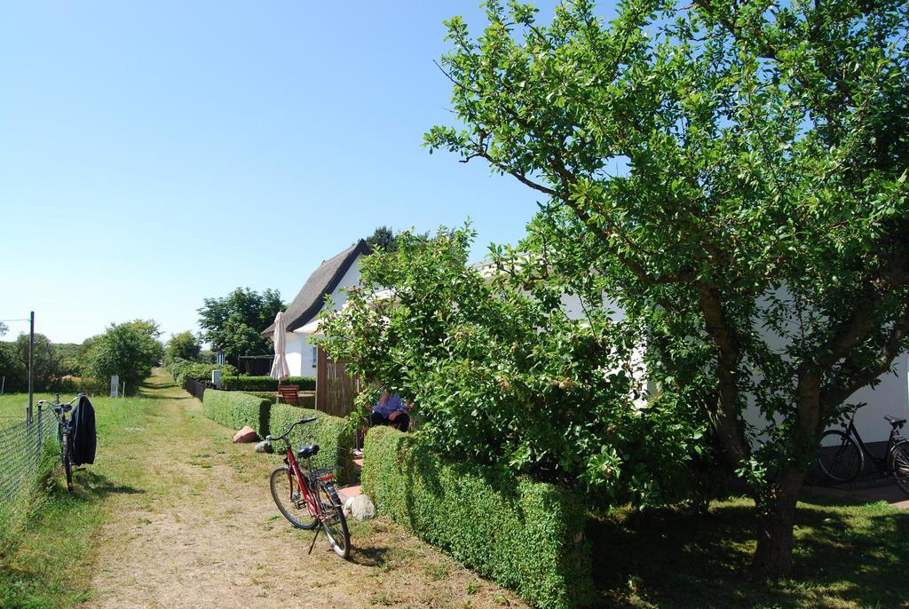 Ferienwohnung Hiddensee in Vitte Buitenkant foto